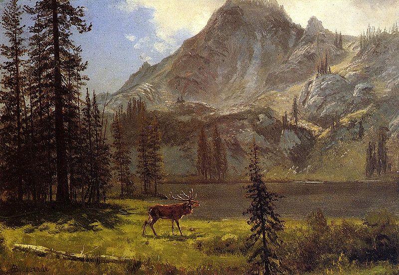 Albert Bierstadt Albert Bierstadt Call Of The Wild oil painting picture